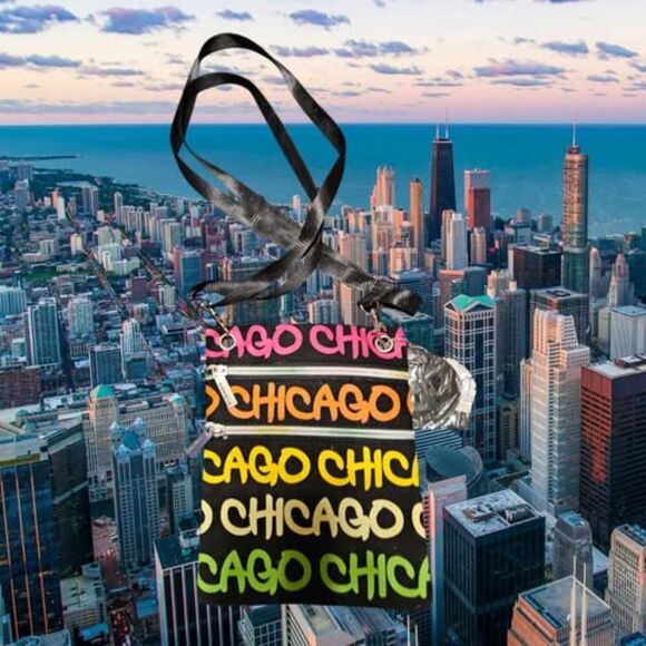 Robin Ruth Chicago Cross Body Purse NEW - Picture 1 of 3